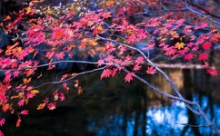 国产人妻久久精品一区二